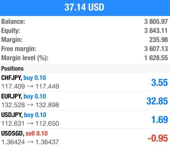 Diversified forex trading portfolio with multiple currency pairs